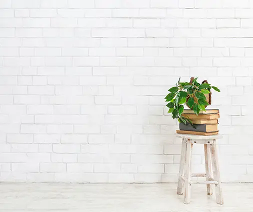 PlantChairBooks2
