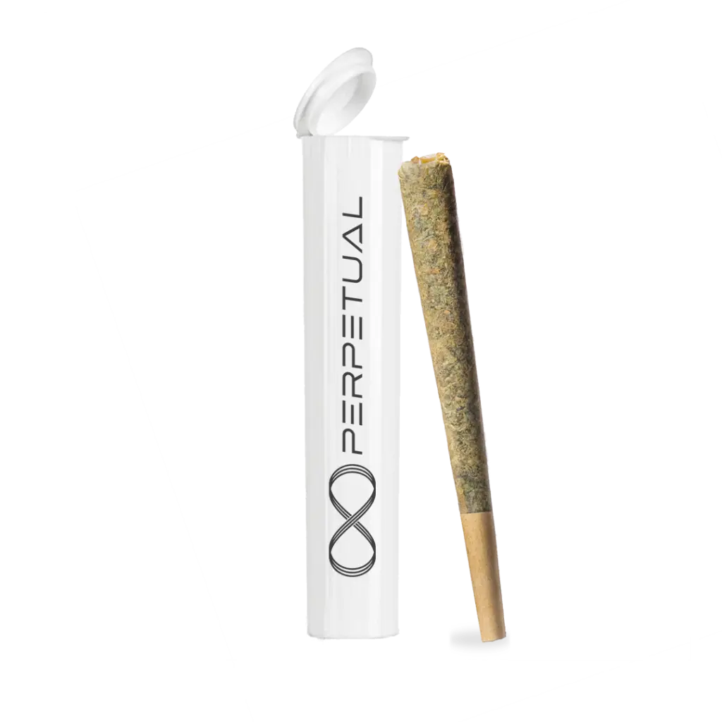 Perpetual Pre-Rolls Category