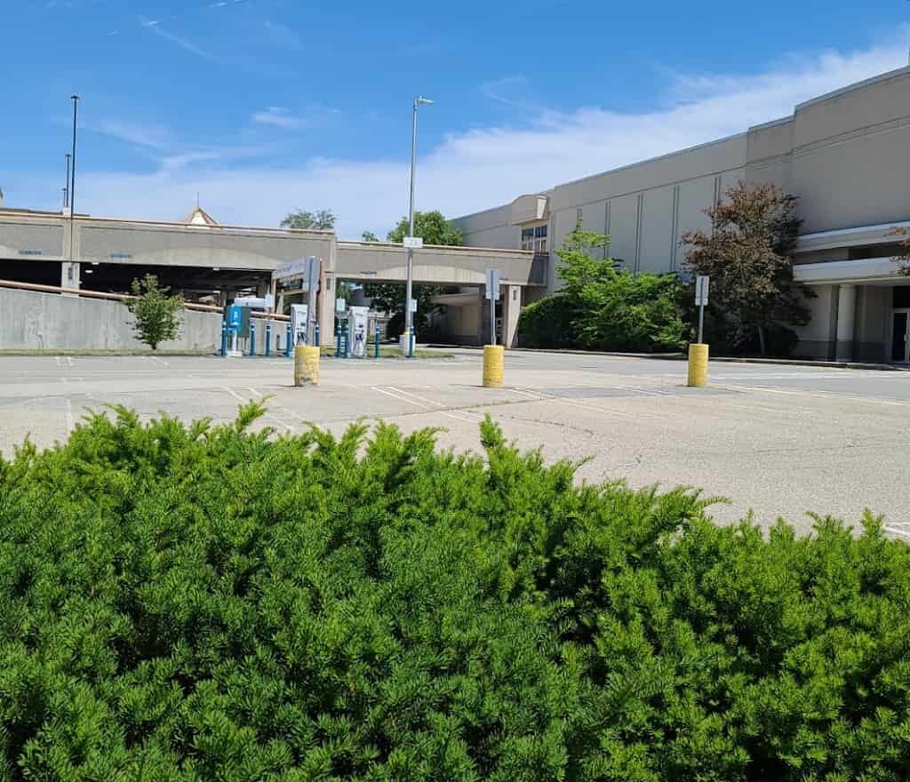 Thumbnail Picture of Service Area Auburn by Perpetual Dispensaries