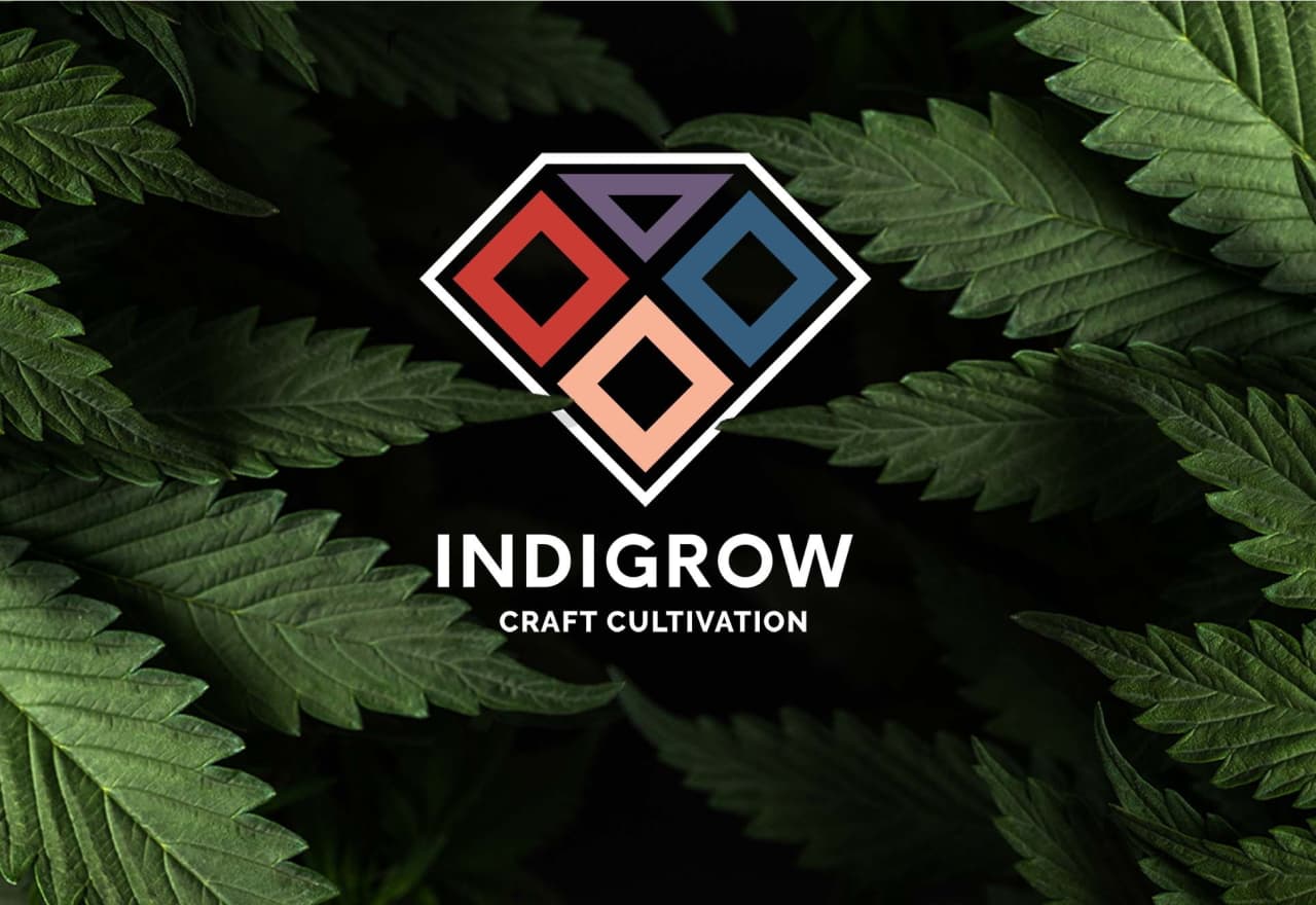 Image Perpetual Dispensaries 26