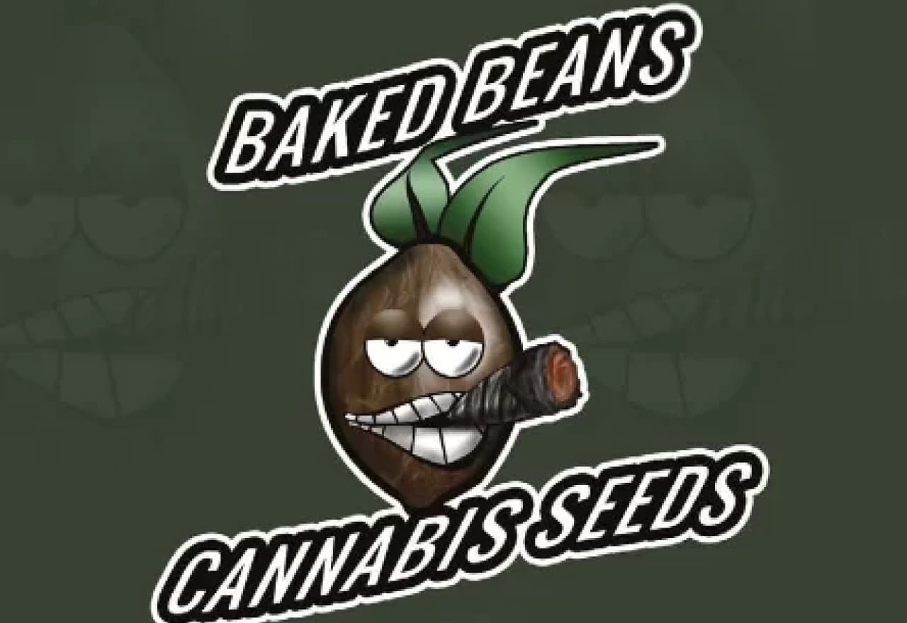 Image Perpetual Dispensaries 272