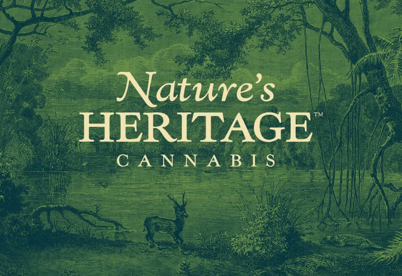 Image Perpetual Dispensaries 45