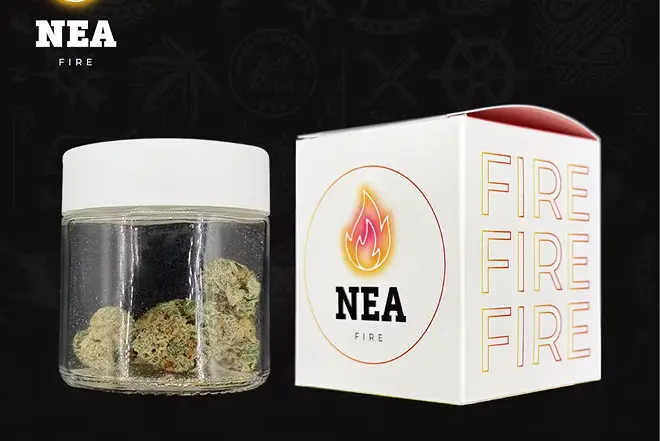 Imagen NEA Fire 001 Perpetual Dispensary