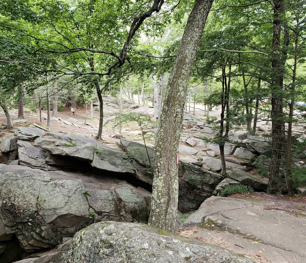 Thumbnail-For-Purgatory Chasm-By-Perpetual Dispensaries