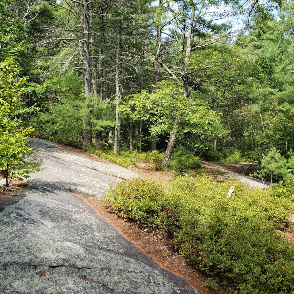 Thumbnail-For-Purgatory Chasm-Rock-Trail-By-Perpetual Dispensaries