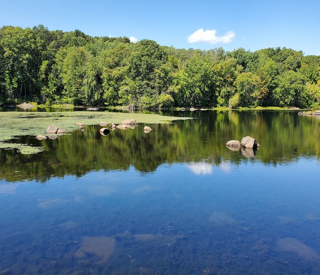 Thumbnail-For-Brierly Pond-Sutton-MA-By-Perpetual Dispensaries