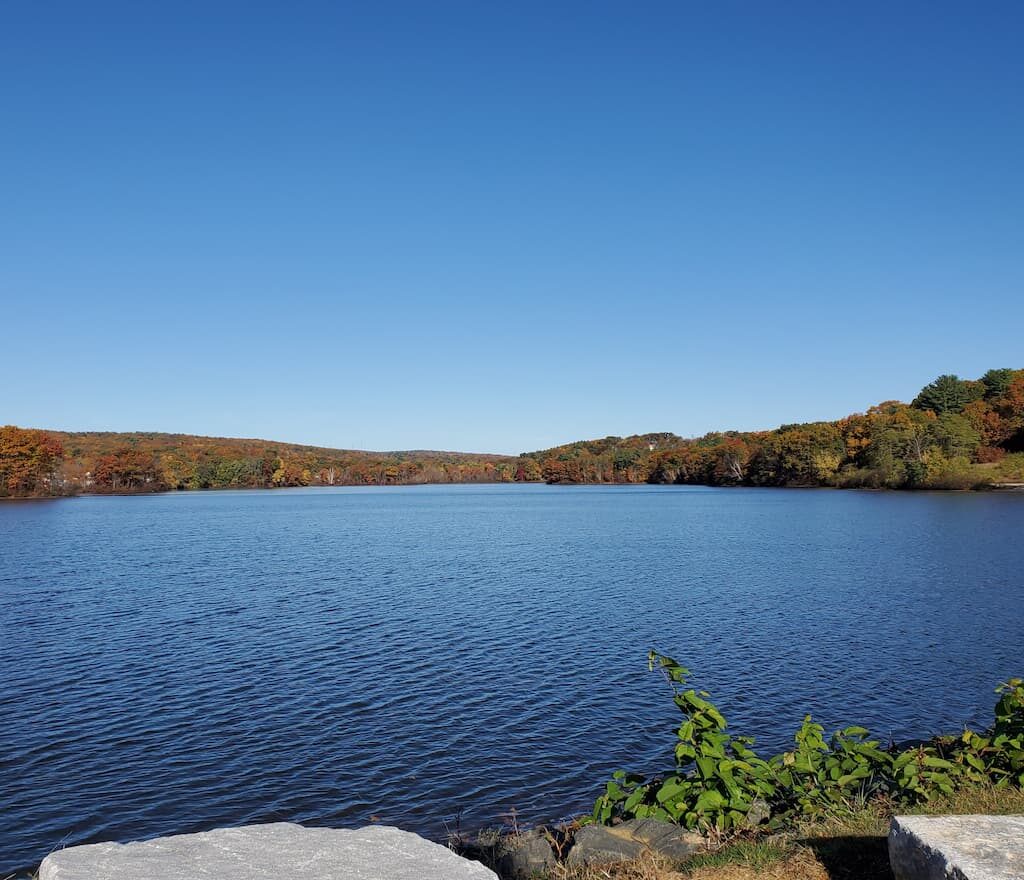 Thumbnail-For-Coes Park-Leicester-MA-By-Perpetual Dispensaries