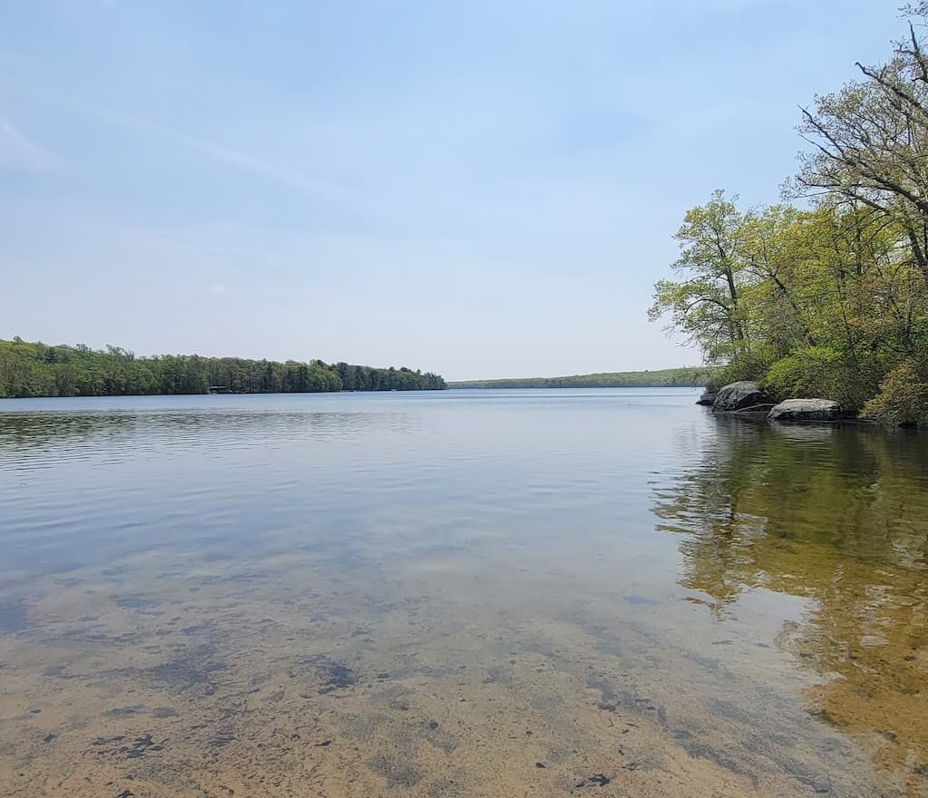 Thumbnail-For-Douglas State Forest-Douglas-MA-By-Perpetual Dispensaries