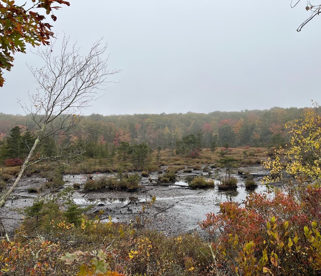 Thumbnail-For-Southern New England Trunkline Trail-Douglas-MA-By-Perpetual Dispensaries