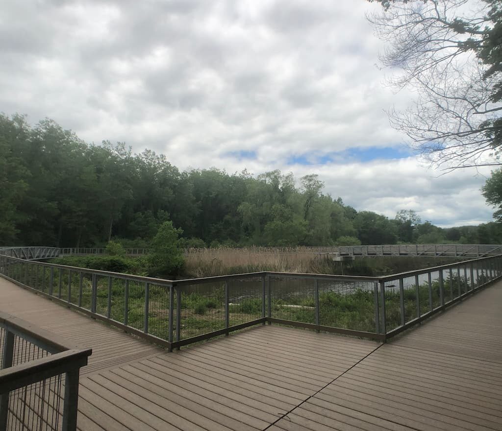 Thumbnail-For-Blackstone Valley Bike Path-By-Perpetual Dispensaries