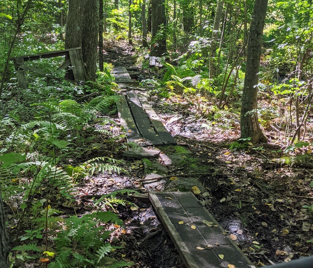 Thumbnail-For-Rayburn Trails-By-Perpetual Dispensaries