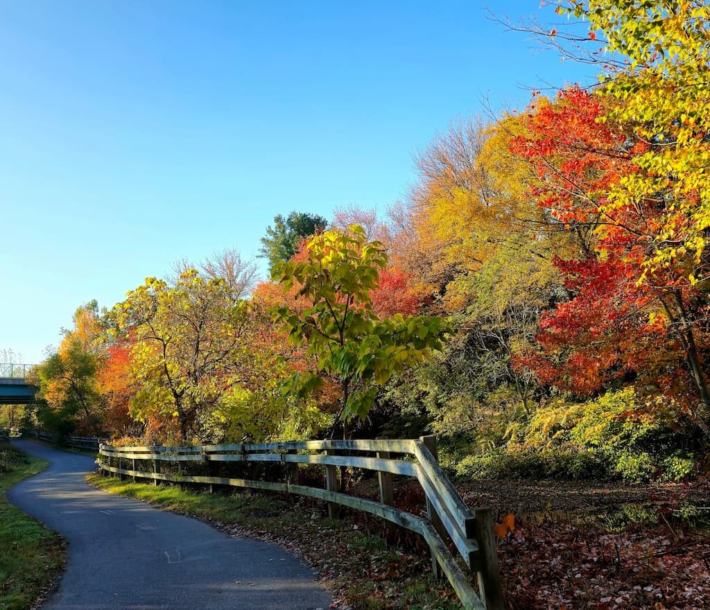 Thumbnail-For-Scenic-Trail-Blackstone Valley Bike Path-By-Perpetual Dispensaries
