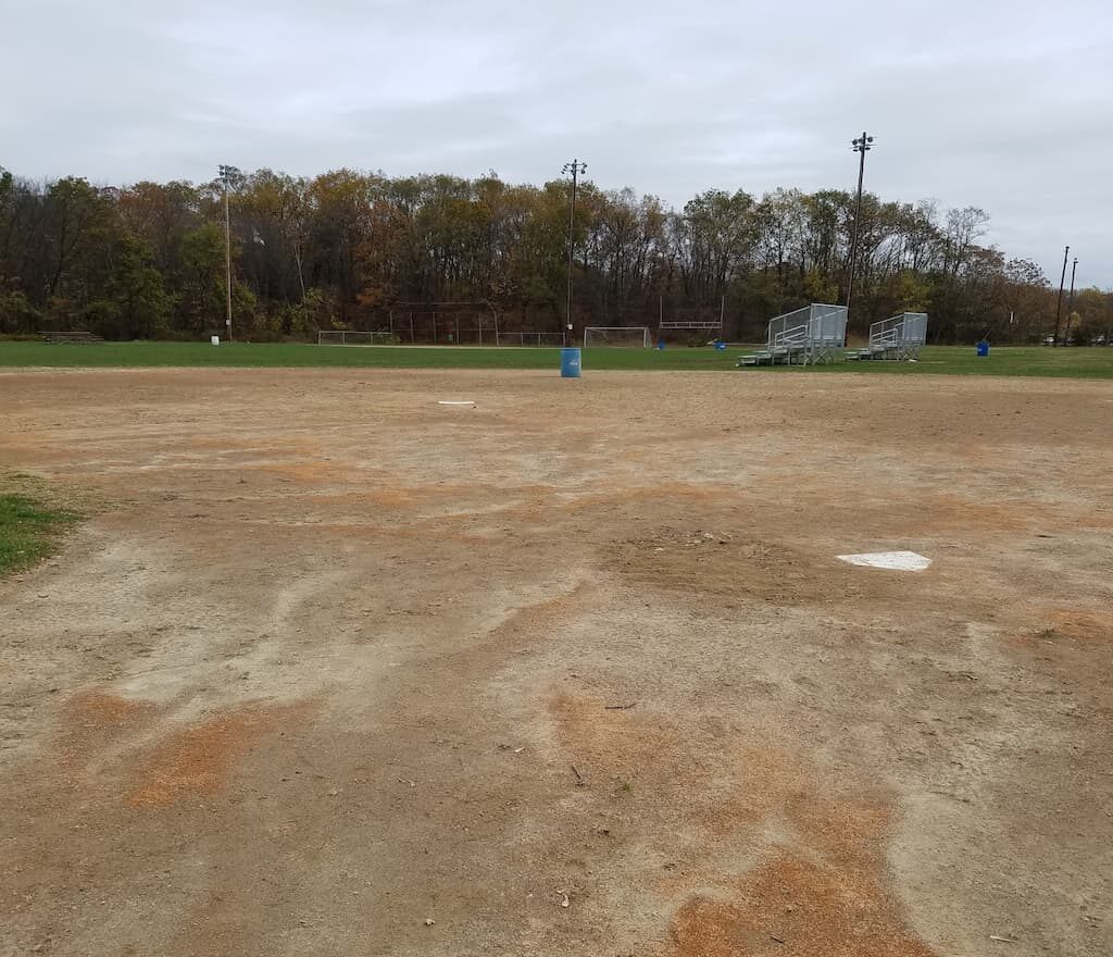 Thumbnail-For-Windle Field-By-Perpetual Dispensaries