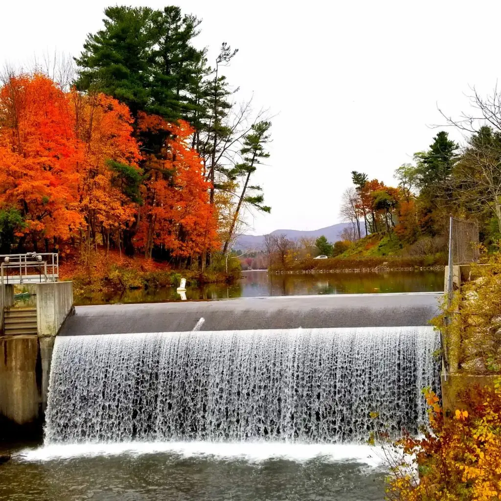 Thumbnail-For-Pittsfield-MA-By-Perpetual Dispensaries