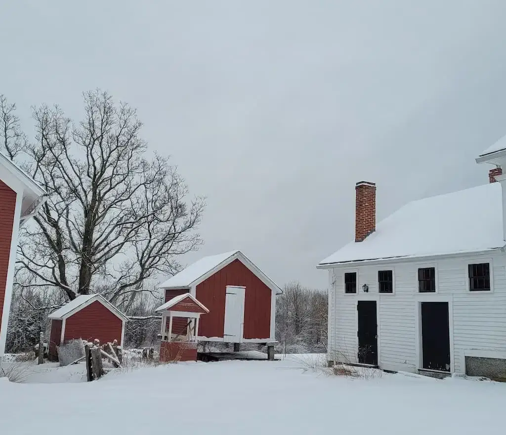 Thumbnail-For- Hop Brook Preserve - By - Perpetual Dispensaries