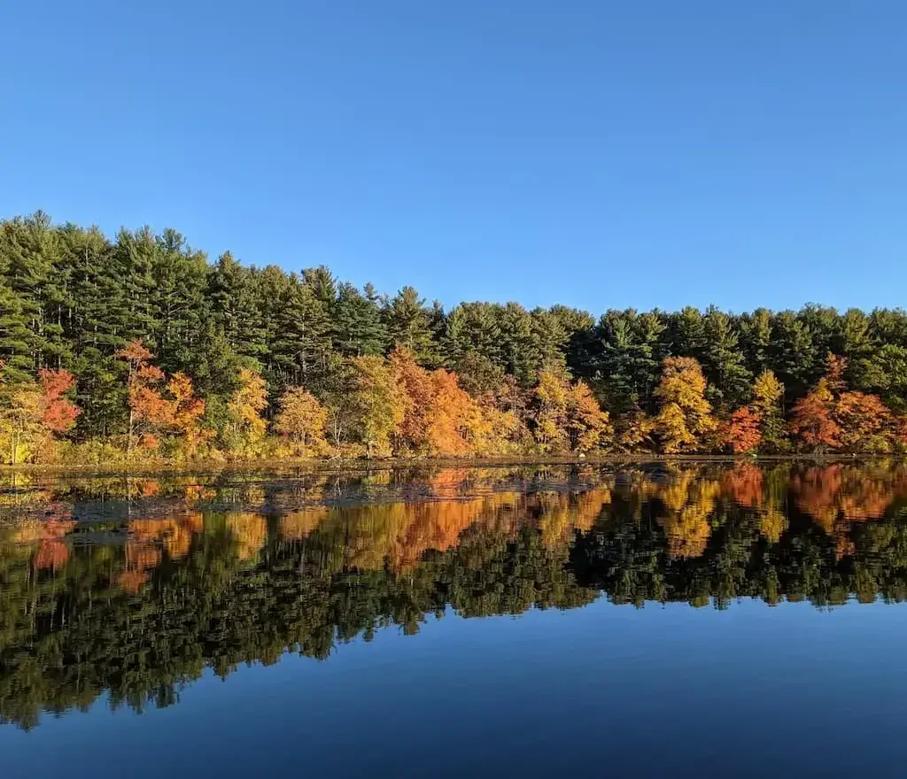 Thumbnail-For- Hopkinton Whitehall Reservoir - By - Perpetual Dispensaries