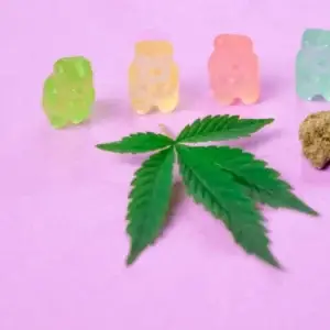Thumbnail-For-THC Edibles A New Approach to Cannabis Consumption-By-Perpetual Dispensaries