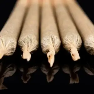 Thumbnail-For-The Rise of Pre-Rolls in the Modern Cannabis Market-By-Perpetual Dispensaries