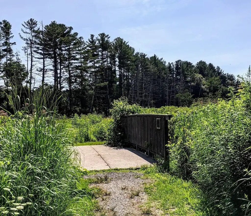 Thumbnail-For-Canoe Meadows-By-Perpetual Dispensaries