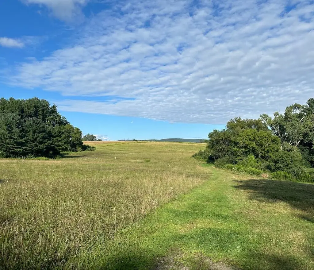 Thumbnail-For-Canoe Meadows Pittsfield-By-Perpetual Dispensaries