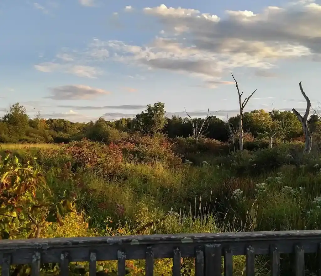 Thumbnail-For-Canoe Meadows View-By-Perpetual Dispensaries (1)