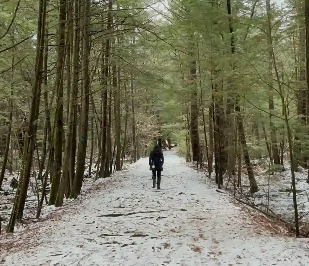 Thumbnail-For-Canoe Meadows Winter-By-Perpetual Dispensaries