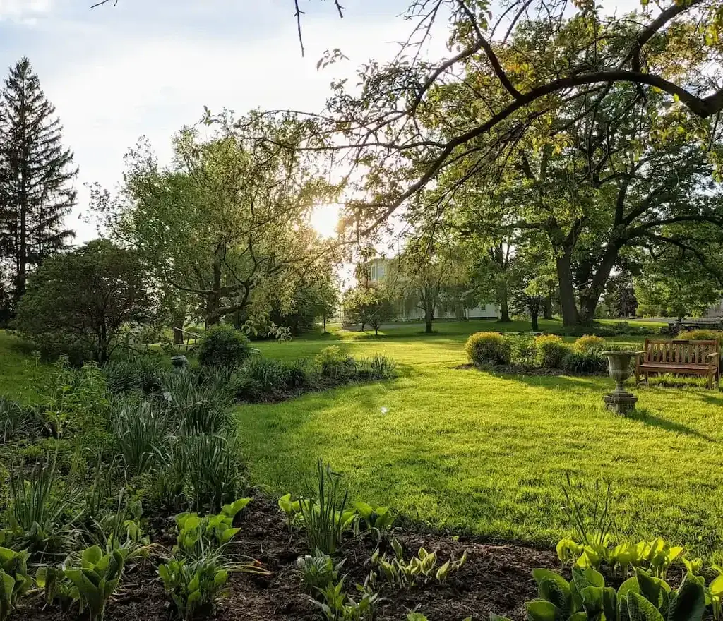 Thumbnail-For-Springside Park - Pittsfield MA-By-Perpetual Dispensaries